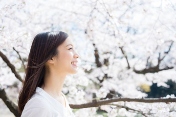 Naklejka premium 桜と女性 