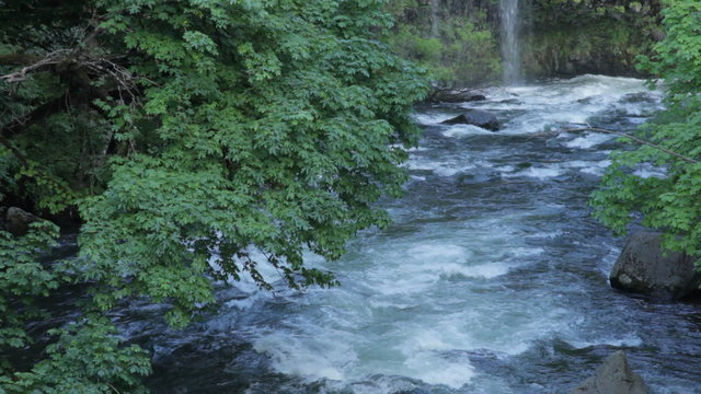 Tilt up from the Sacramento River to a small portion of Mossbrae Falls in Northern California; includes ambient audio.