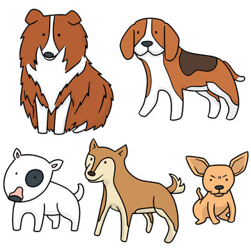 vector set of dog