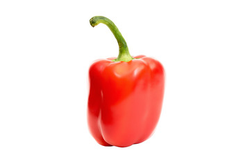 Sweet red pepper. Fresh paprika isolated on white