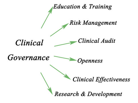 Diagram Of Clinical Governance