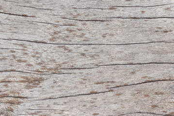 Fototapeta premium Wooden planks wall texture abstract for background