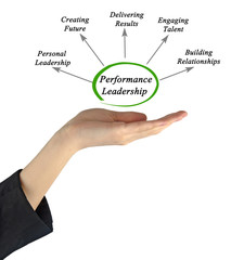 Diagram of Performance Leadership