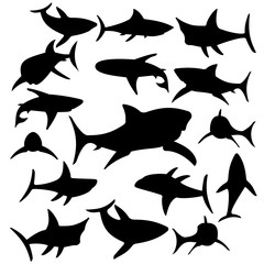 Set of sharks silhouette