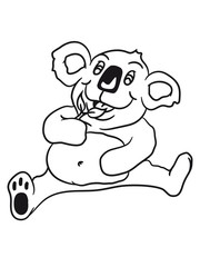 small big fat eaten hungry sitting sweet plush koala eucalyptus leaf