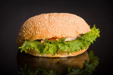 Hamburger, background black