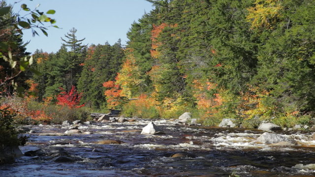 Tight shot and a wider shot of the Swift River with colorful autumn foliage in the background,  in the White Mountains of New Hampshire; includes ambient audio.