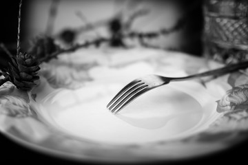 fork in plate black white