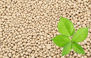 Green blackberry leaf on a mineral fertilizers