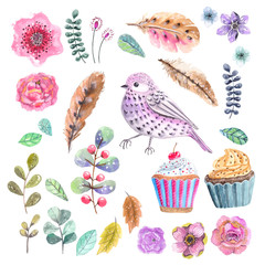 Watercolor flowers ane leaves, details for beautiful design, the 8th of march design, women's day