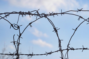 barbed wire against the sky