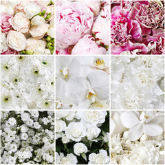 Collage with white and pink flowers