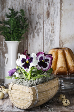 Pansy flowers in wooden box
