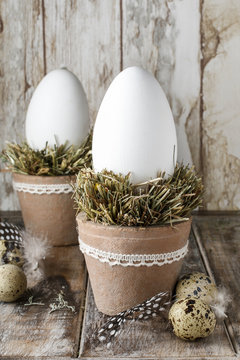 Goose eggs on hay - easter decoration
