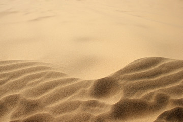 Sand gold dunes wave in Vietnam, Mui Ne