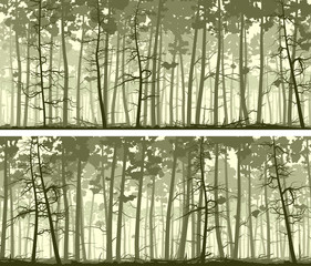 Horizontal wide banners of coniferous wood.