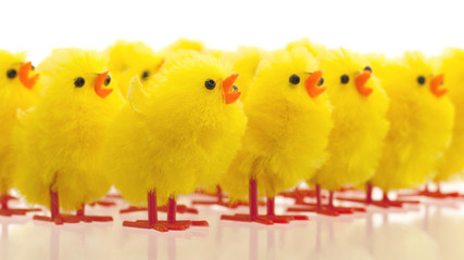 Abundance of easter chicks, selective focus