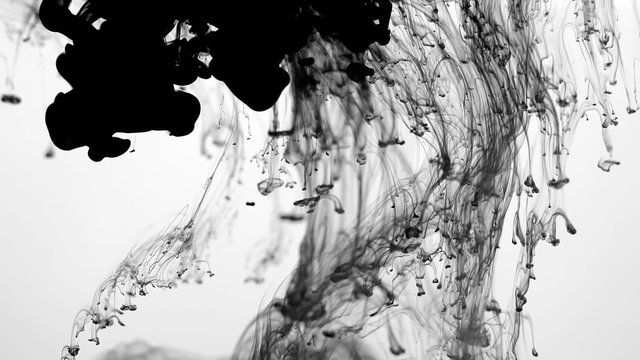 Ink Matte Effect. Black ink clouds in water. Fantastic for transitions and effects. Shot on white so easily used as a luma matte. Super Slow Motion Shot at 240fps