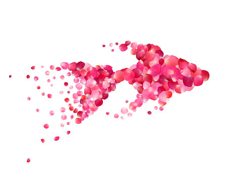 Silhouette of a goldfish of pink rose petals isolated on white
