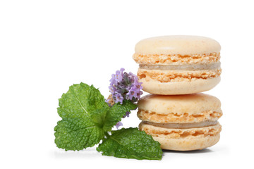 macaron à la vanille sur fond bland