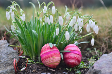 Unsuccessful Easter eggs  /  Unsuccessful Easter eggs on the winter flower-beds.  Only the eggs are sharp.
