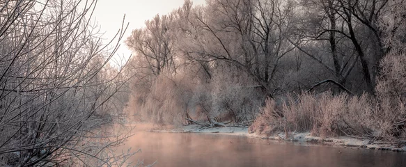 Wandcirkels Pantone 2025 Mocha Mousse fantastic winter landscape  © jenyateua