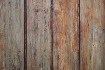 Wood Texture