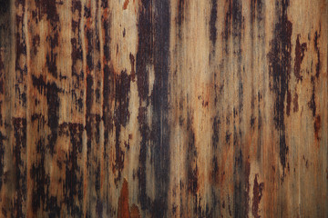 Wood Texture