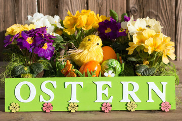 Ostern mit Primeln und Küken