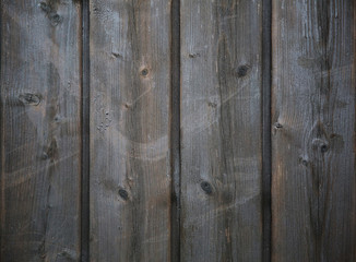 Wood Texture