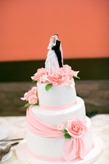 Wedding. Beautiful bride. Beautiful wedding couple