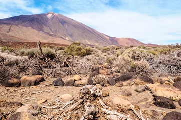 Foto op Plexiglas View of volcano Teide © styf