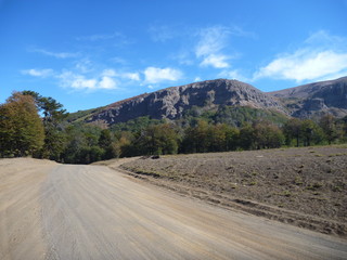 Fototapeta na wymiar dusty dirt road in park las araucarias in patagonia