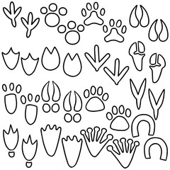 vector set of animal footprints