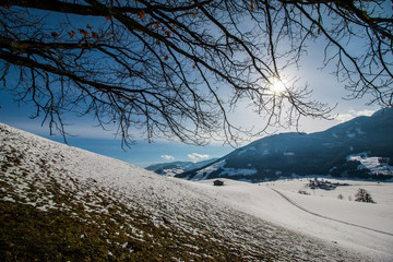 Starke Äste, Winterlandschaft, Schneeschmelze