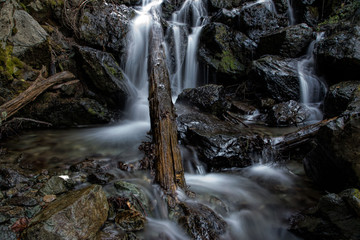 Fototapeta premium the waterfall among the rocks