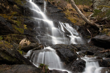 Fototapeta premium the waterfall among the rocks