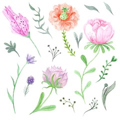 Set of Watercolor Spring Flowers and Leaves