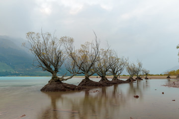 New Zealand Landscape