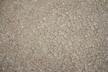 Dried and Cracked ground