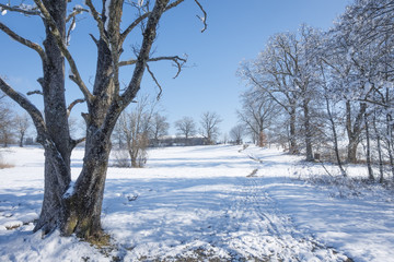 Osterseen witner scenery