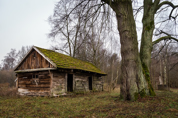 Opuszczone gospodarstwo © podlaski49