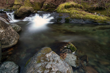 stream of mountain river among stones