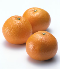 普通のいよかん