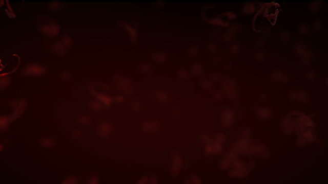 Blood Cells Deformation Diseases