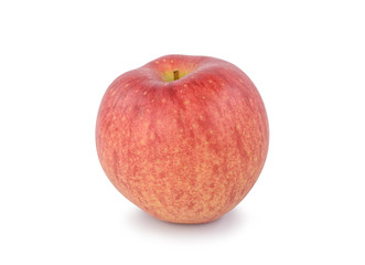 Japanese Giant Apple