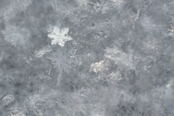 snowflake is the miracle of winter nature