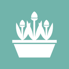 Flowers in the pot icon