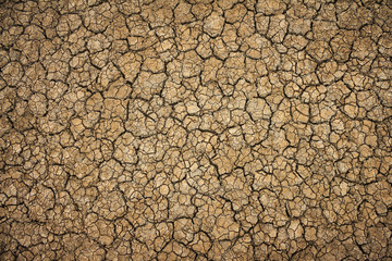 cracked clay ground into the dry season