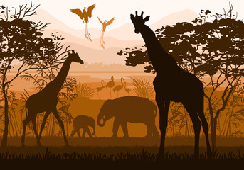 Beauty of nature with wild animals (giraffe, elephant, flamingo,